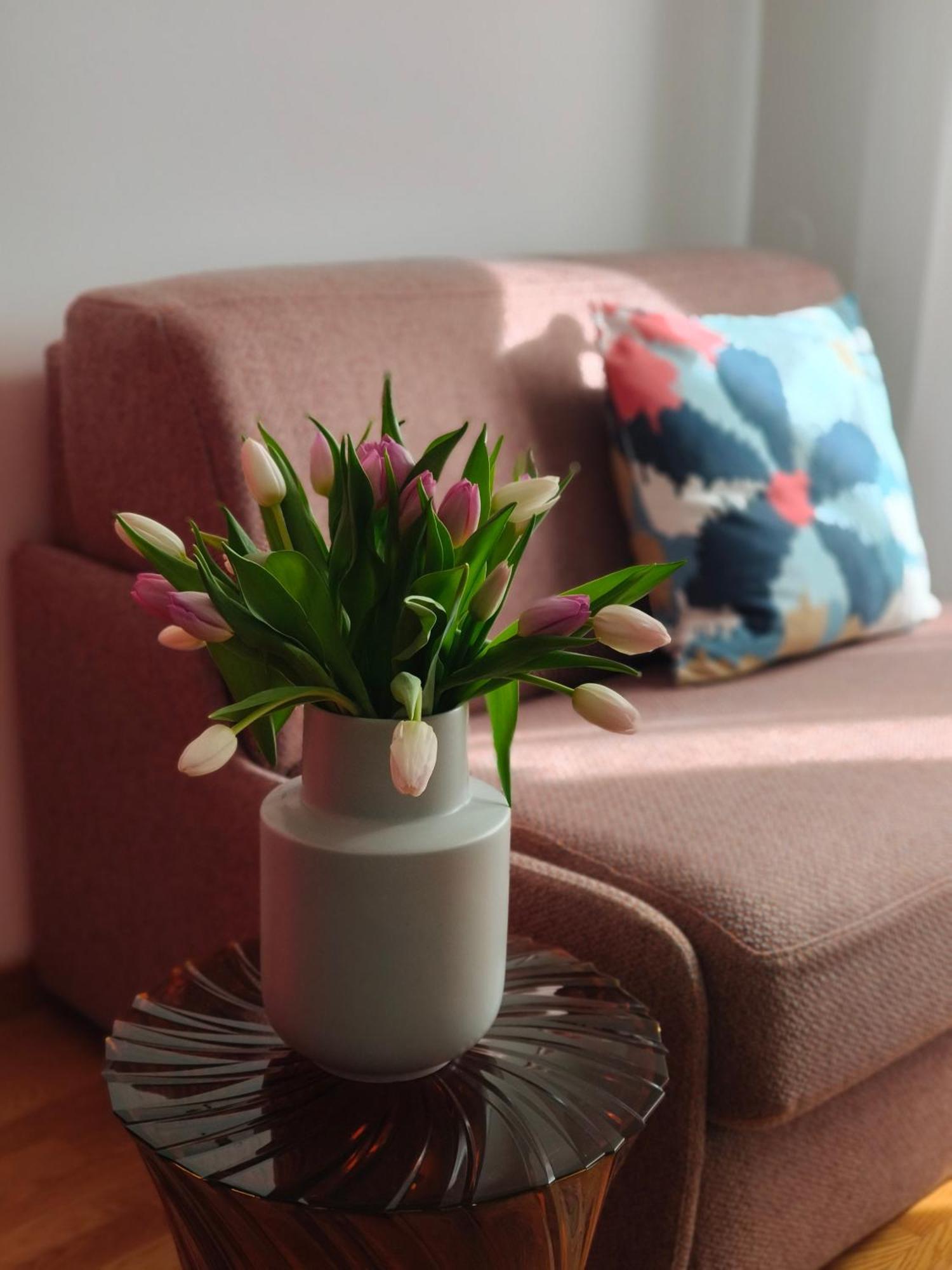 Apartament Fluere - Via Riva Reno Bolonia Zewnętrze zdjęcie