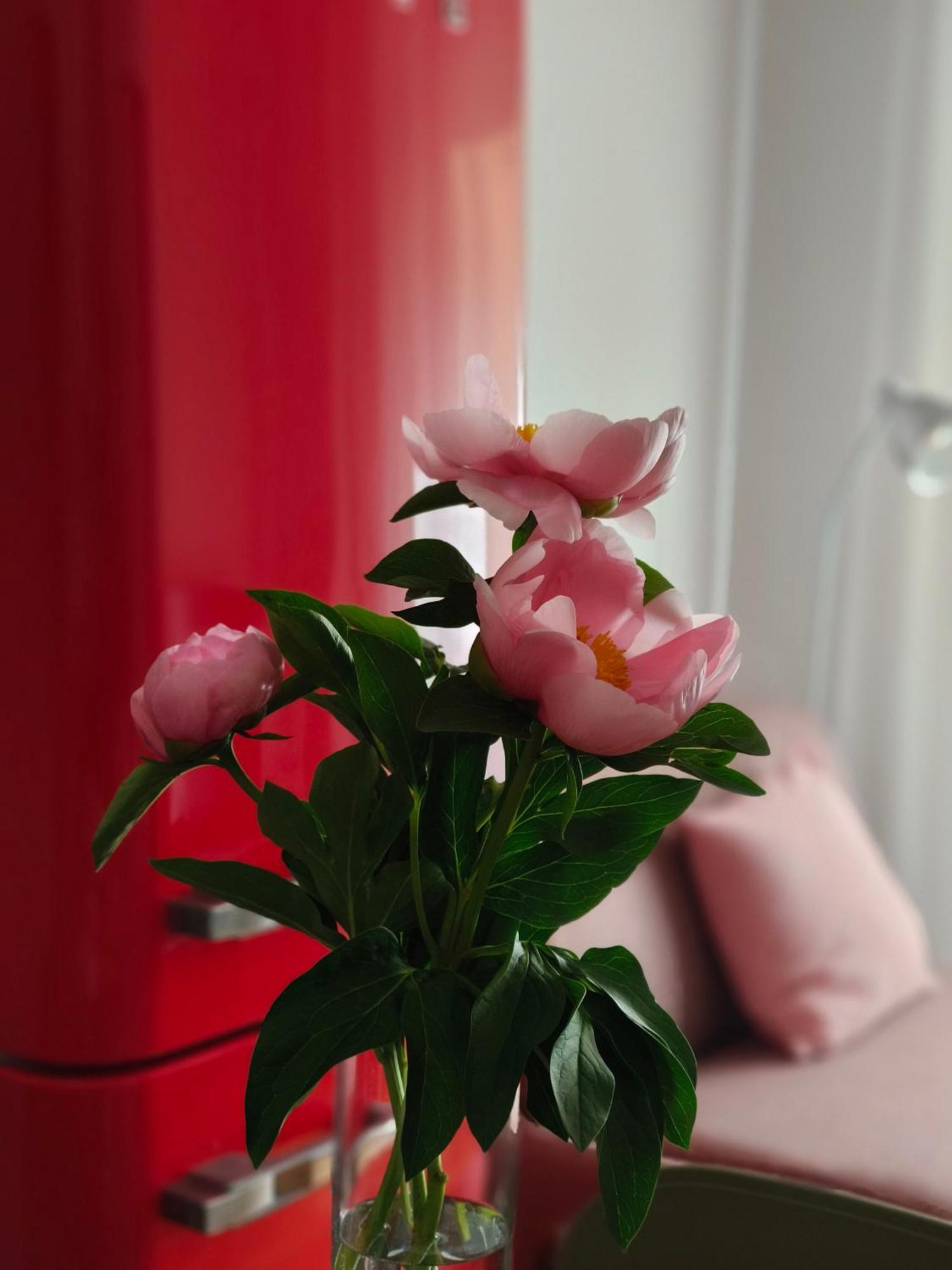 Apartament Fluere - Via Riva Reno Bolonia Zewnętrze zdjęcie