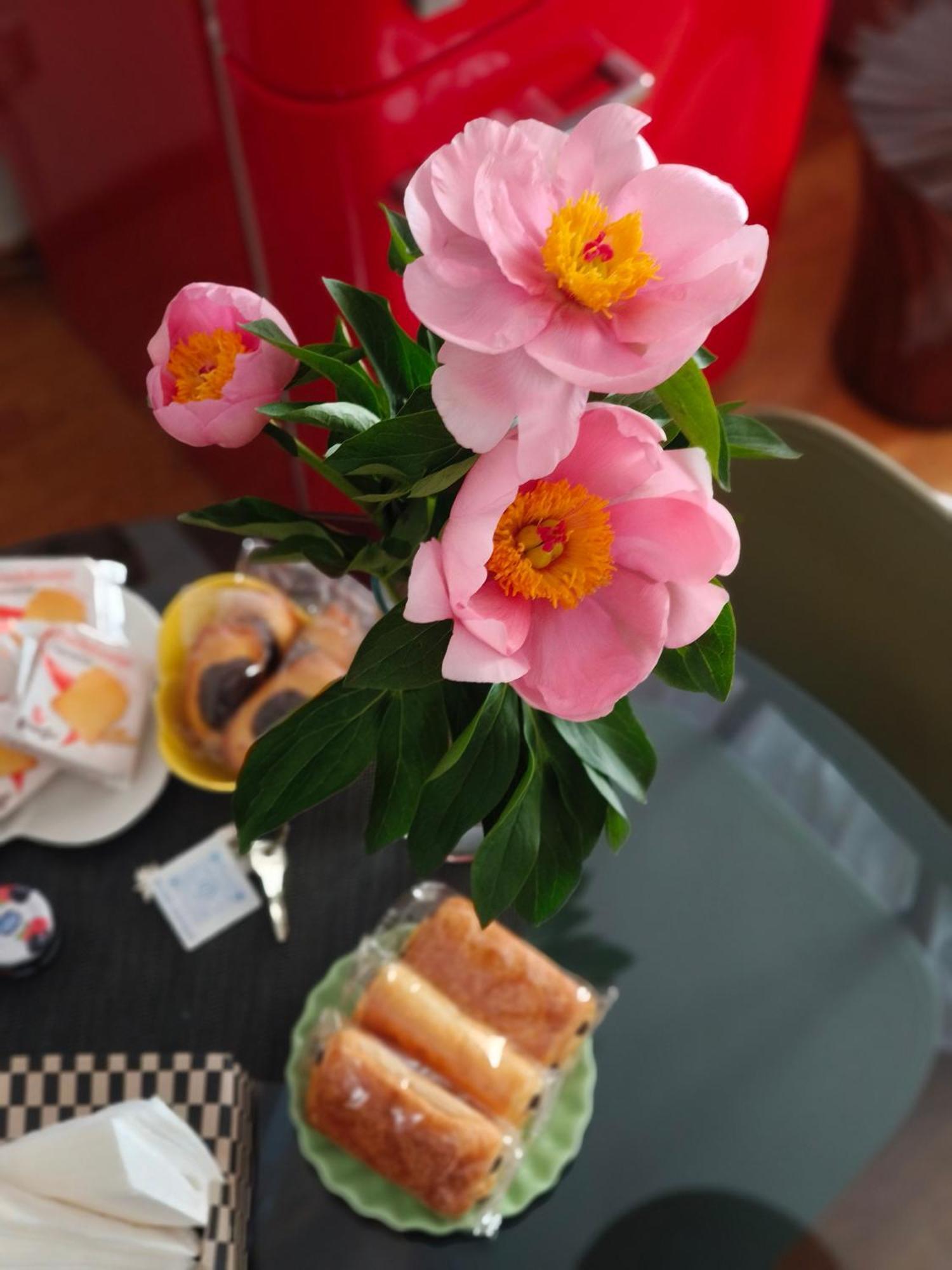 Apartament Fluere - Via Riva Reno Bolonia Zewnętrze zdjęcie